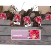 Bloembollen|Ecocheques|ohgreen 1 amaryllis roze