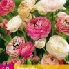 Bloembollen|Ecocheques|ohgreen 40 bloembollen ranunculus pastel mix