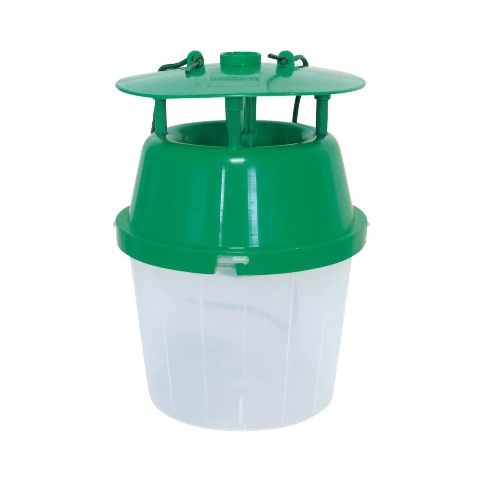 Insecten|ohgreen 2 buxusmottenvallen en 2 feromooncapsules