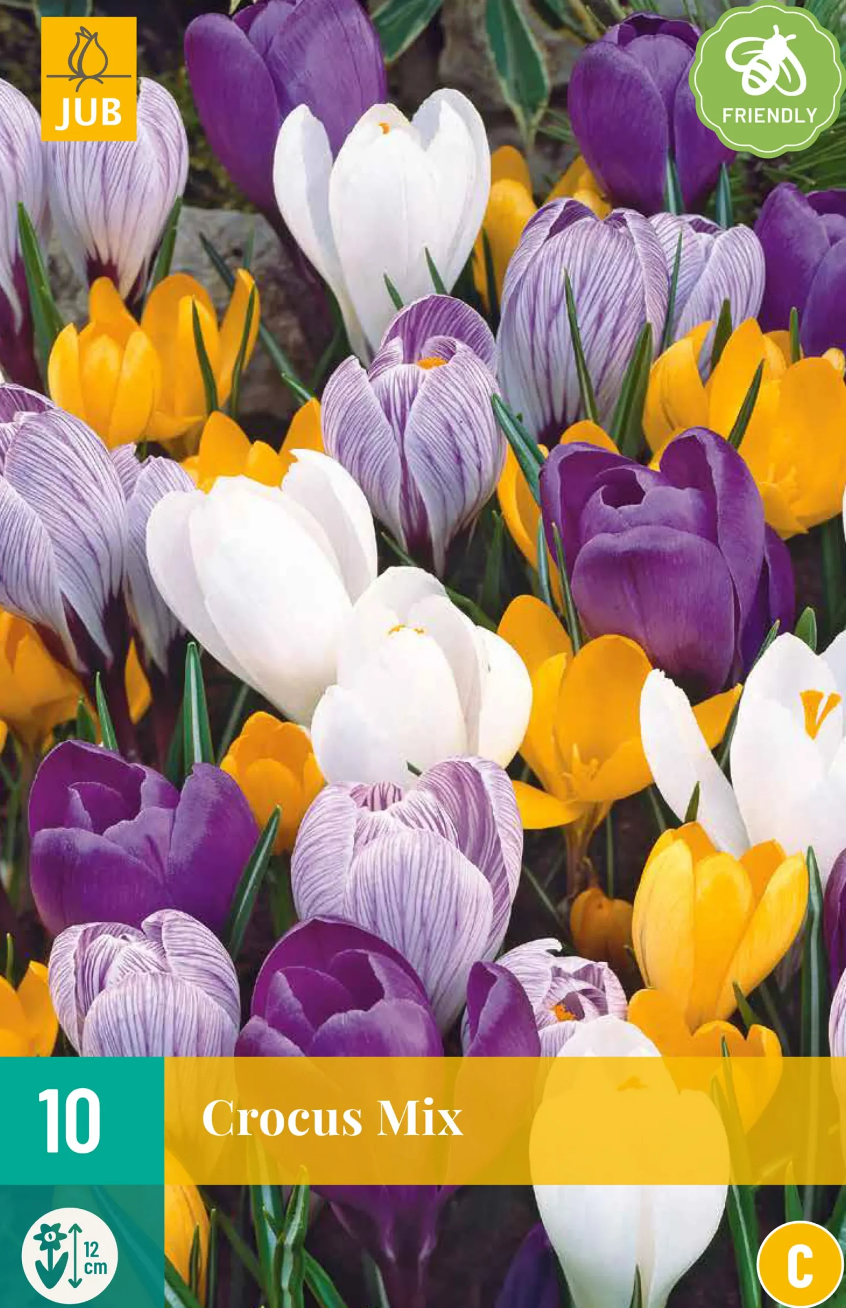 Bloembollen|Ecocheques|ohgreen 10 crocus grootbloemig mix