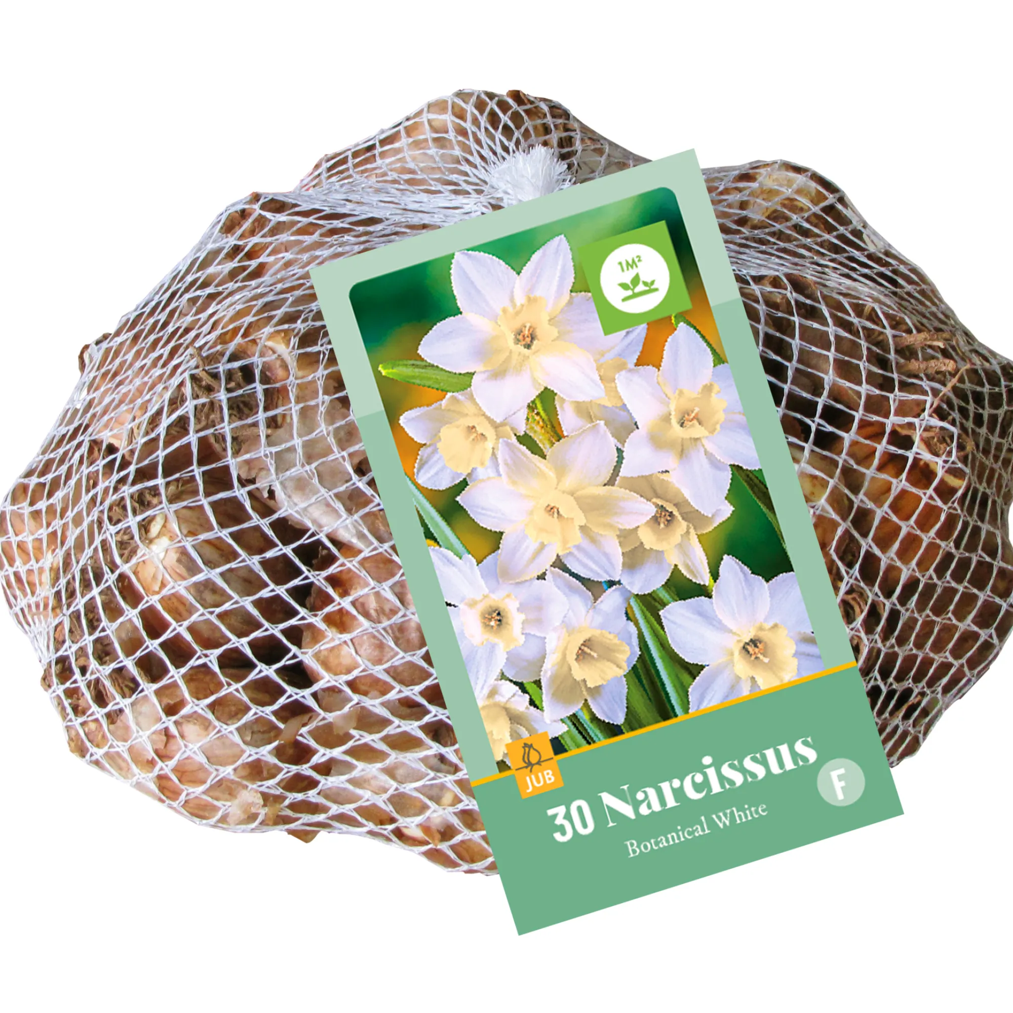 Bloembollen|Ecocheques|ohgreen 30 narcissus botanisch wit
