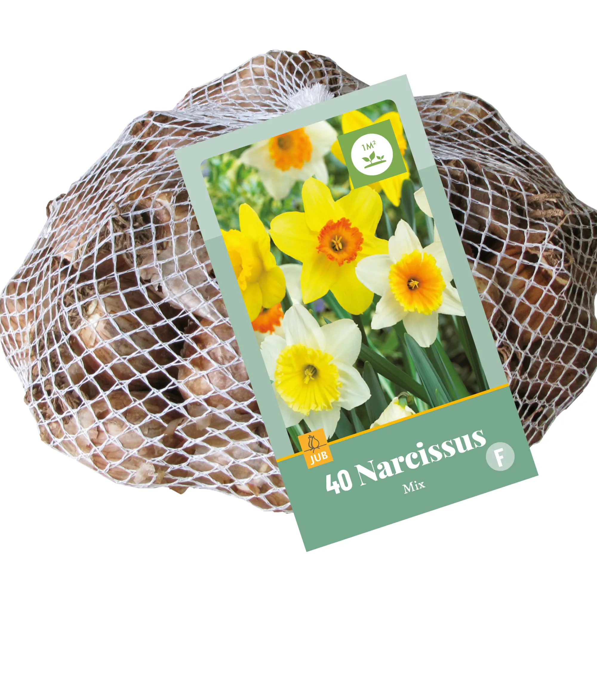 Bloembollen|Ecocheques|ohgreen 40 narcissus mix