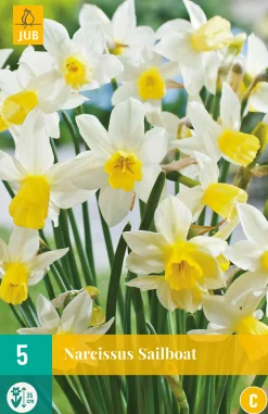 Bloembollen|Ecocheques|ohgreen 5 narcissus sailboat
