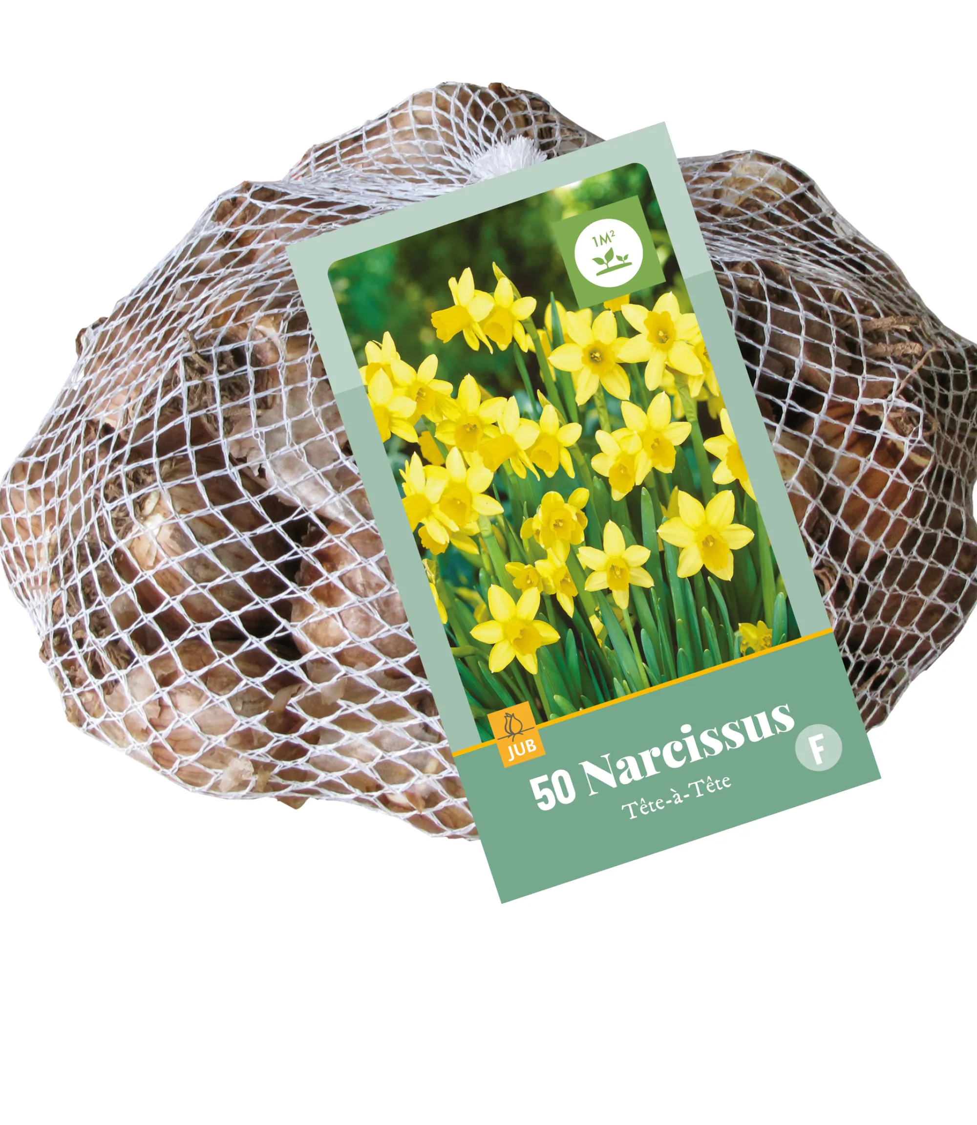 Bloembollen|Ecocheques|ohgreen 50 narcissus tête-à-tête