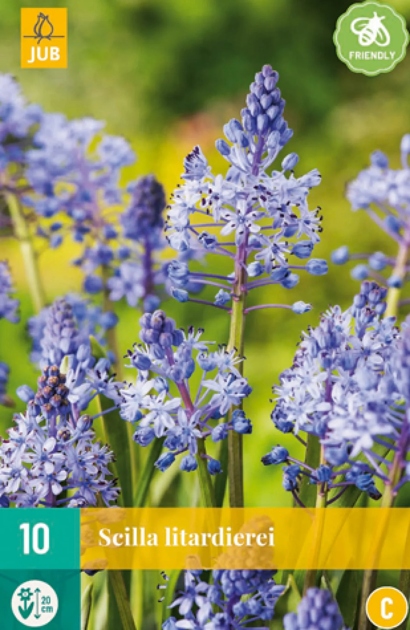 Bloembollen|Ecocheques|ohgreen 10 scilla litardierei
