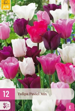 Bloembollen|Ecocheques|ohgreen 12 tulipa pastel mix