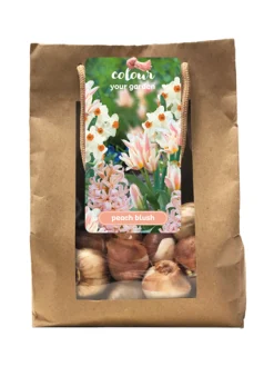 Bloembollen|Ecocheques|ohgreen 1 zak 25 bollen colour your garden peach blush