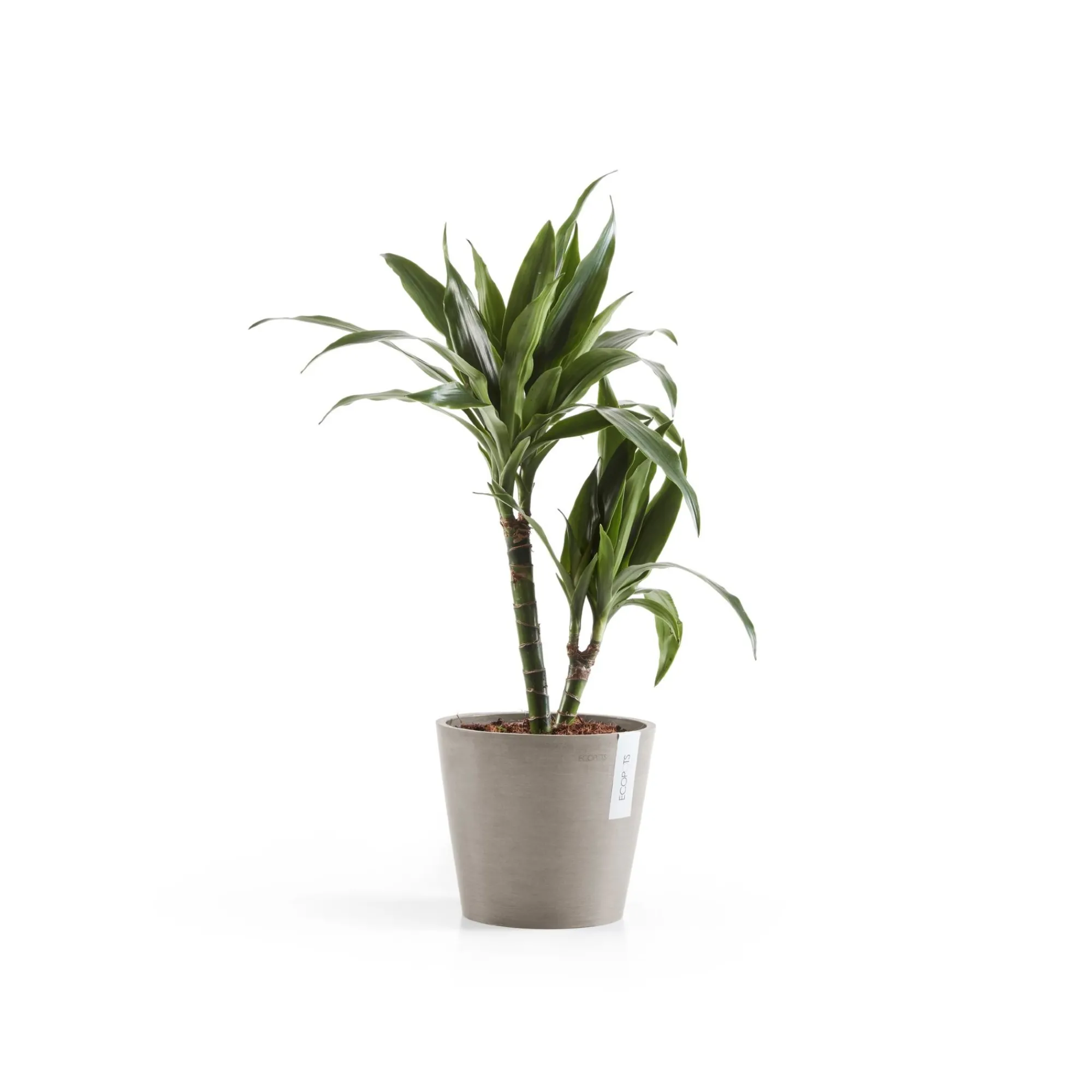 Kunststof|Ecocheques|ohgreen Amsterdam 20cm taupe met waterreservoir