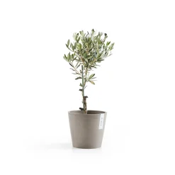 Kunststof|Ecocheques|ohgreen Amsterdam 20cm taupe met waterreservoir