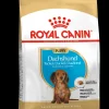 Werelddierendag|Hond Voeding|ohgreen Bhn dachshund puppy 1.5kg