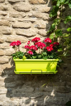 Kunststof|Ecocheques|ohgreen Bloembak relax 60x20h16 lime