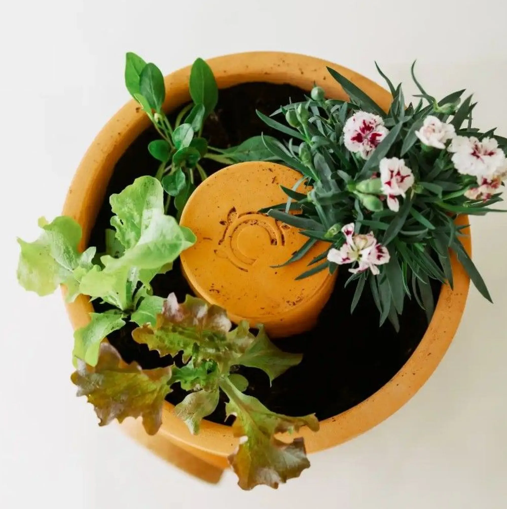 Compostvat|Ecocheques|ohgreen Bloemen composter 2 lagen