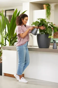 Bewatering|Ecocheques|ohgreen Bloemspuit 0,7l
