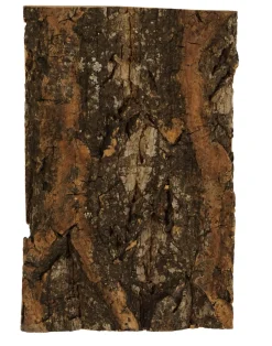 Lemax Kerstdorpen|ohgreen Boomschors kurk 12x18cm