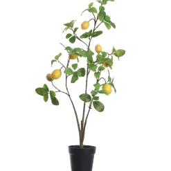 Sfeermakers|ohgreen Citroenplant geel pot 105 cm