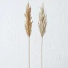 Sfeermakers|ohgreen Decoratietak
