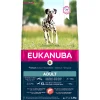 Hond Voeding|Werelddierendag|ohgreen Dog adult large salmon