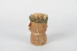 Sfeermakers|ohgreen Droogbloemen