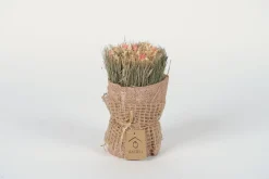 Sfeermakers|ohgreen Droogbloemen