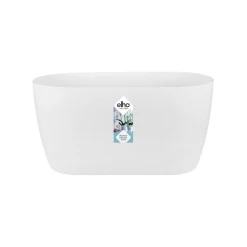 Ecocheques|Potten En Vazen|ohgreen Duo orchidee 25cm