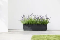 Kunststof|Ecocheques|ohgreen ECOPOTS BRUGES 55CM, ANTR