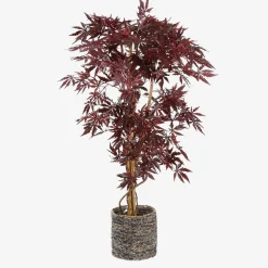 Sfeermakers|Herfst|ohgreen Esdoorn in plastic pot - h150xd80