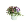 Voorjaar|Ecocheques|ohgreen Festival kleuren in pot Aqua-Easy