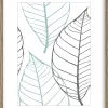 Sfeermakers|ohgreen fotolijst brasil bruin (fsc 100%) 18x24 cm