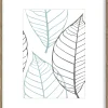 Sfeermakers|ohgreen fotolijst brasil bruin (fsc 100%) 21x30 cm