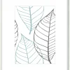 Sfeermakers|ohgreen fotolijst brasil wit (fsc 100%) 21x30 cm
