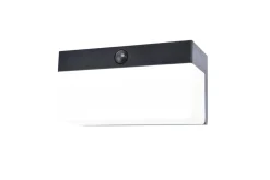 Verlichting|Ecocheques|ohgreen Fran wandamp zwart led 9.7w