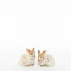Sfeermakers|ohgreen Fun konijn l beige