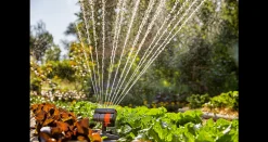 Bewatering|Ecocheques|ohgreen Gardena zwenksproeier AquaZoom compact