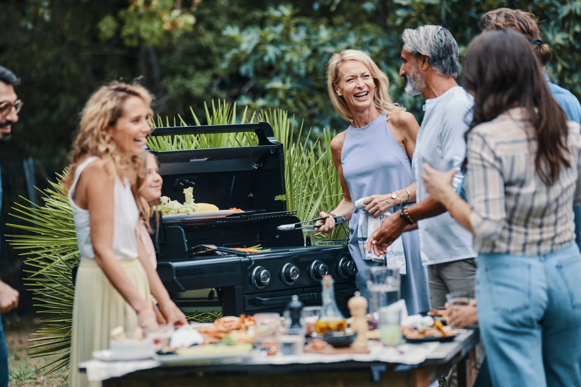 Bbq|ohgreen Gasbarbecue 4 Series Onyx S