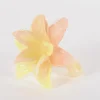 Potten En Vazen|ohgreen Glazen amaryllis bloem
