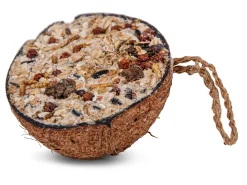 Vogels Voeding|ohgreen Halve kokosnoot granola 200g
