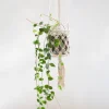Potten En Vazen|ohgreen Hanger Curtis