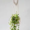 Potten En Vazen|ohgreen Hanger Django