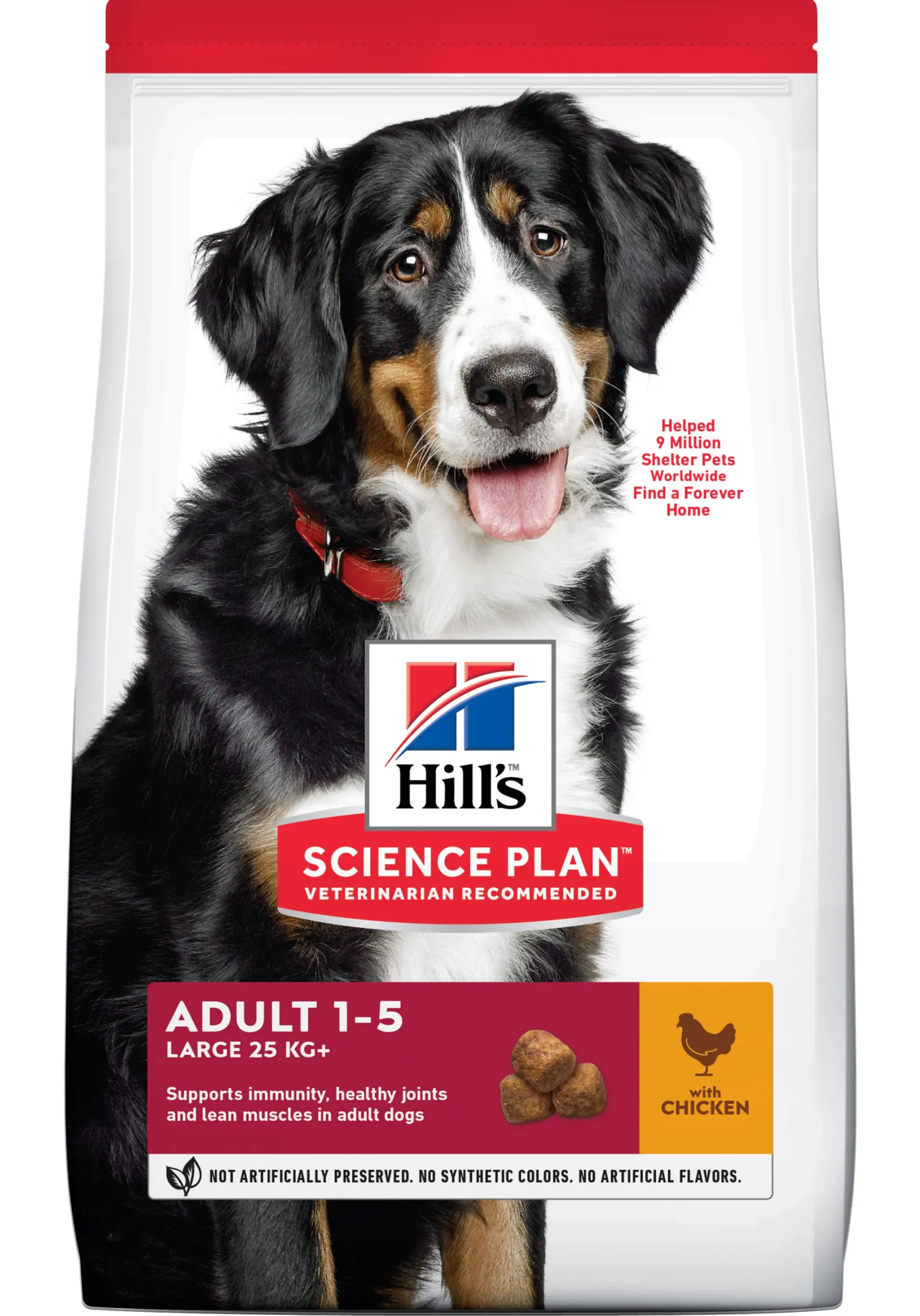 Werelddierendag|Hond Voeding|ohgreen Hill's science plan adult large breed hondenvoer kip 2,5kg