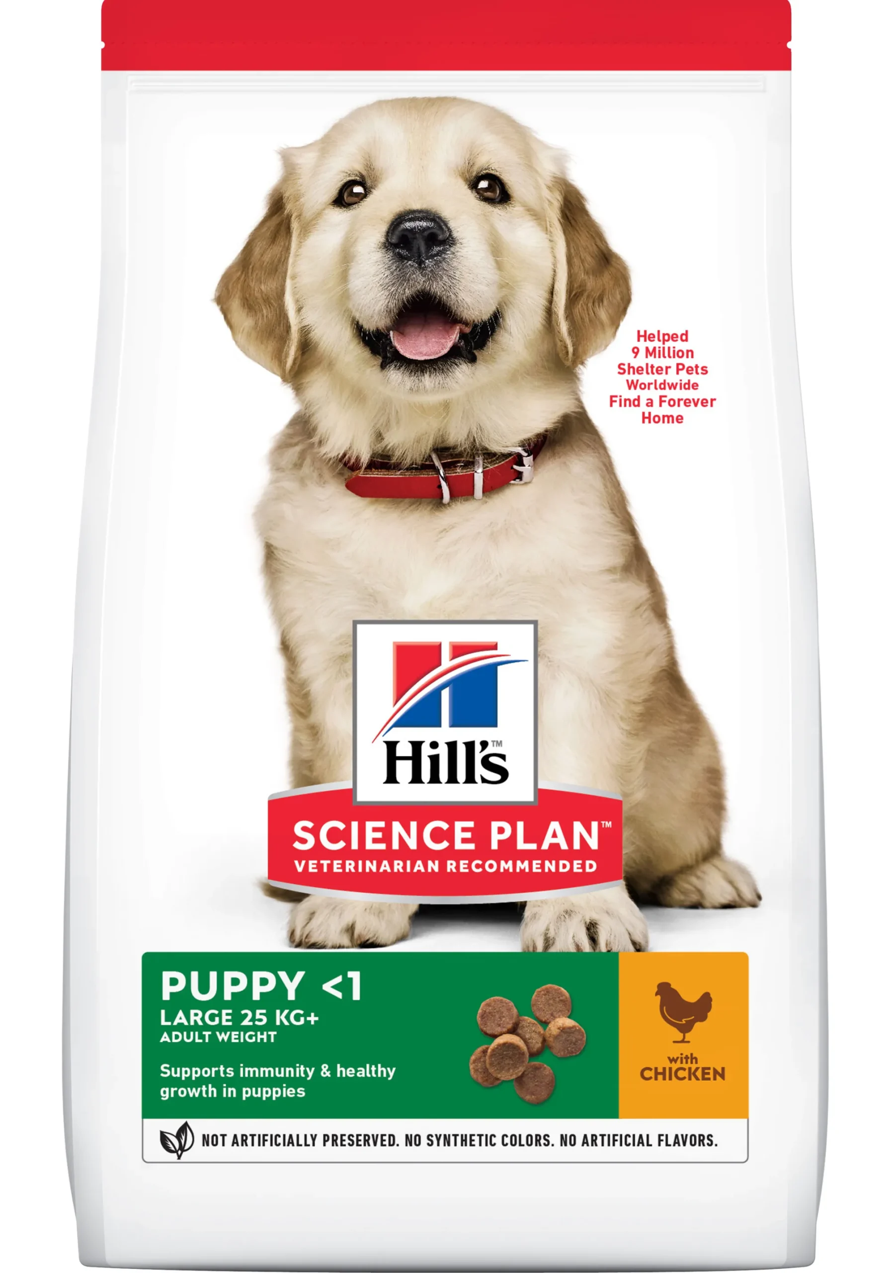 Hond Voeding|Werelddierendag|ohgreen Hill's science plan puppy large breed hondenvoer kip 16kg