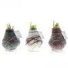 Voorjaar|Ecocheques|ohgreen Hippeastrum Waxz Art v Gogh