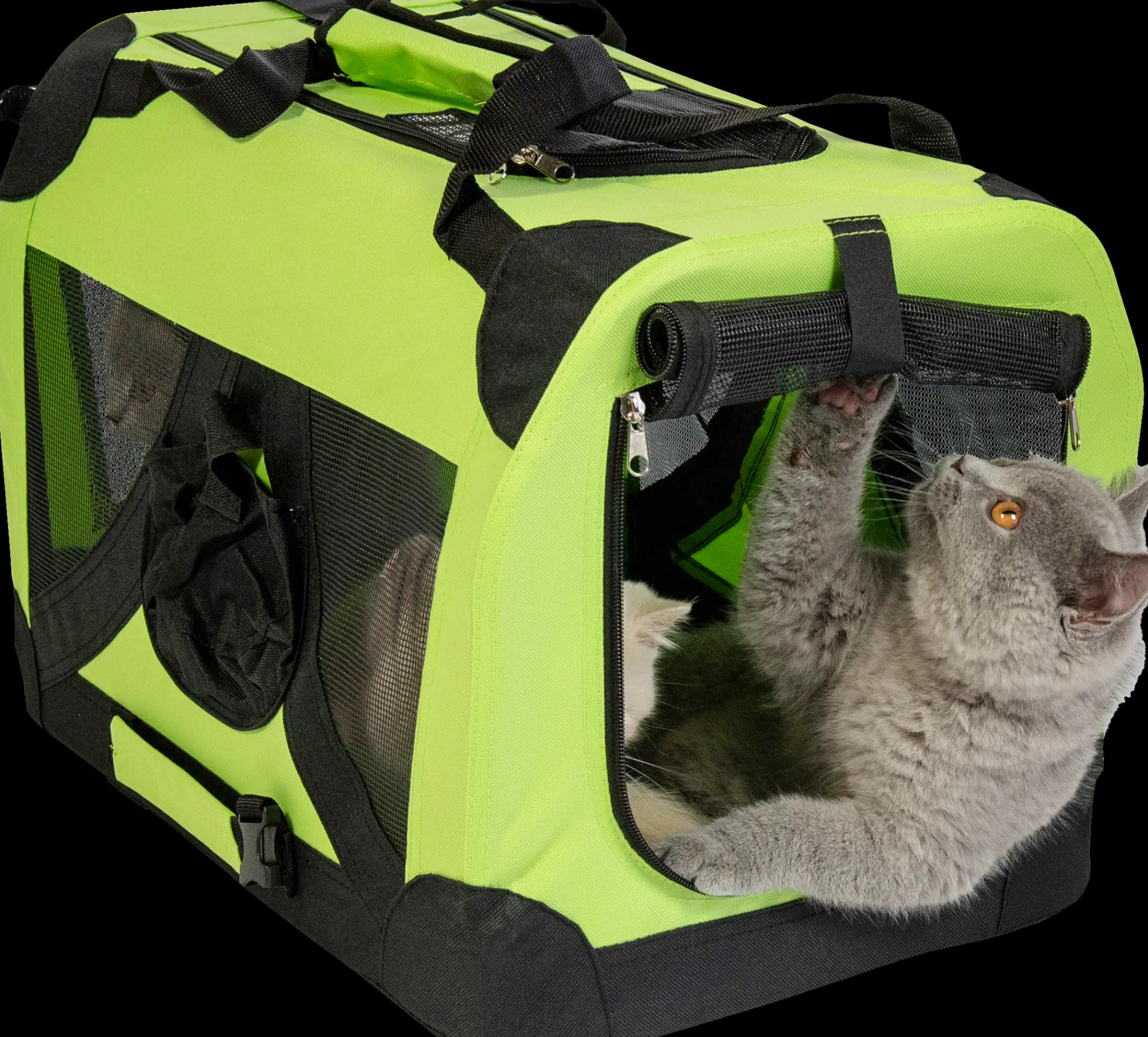 Transport|ohgreen Jack And Vanilla Plooibare Kennel