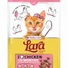 Werelddierendag|Kat Voeding|ohgreen Kattenbrokken lara junior care with chicken 1,9kg