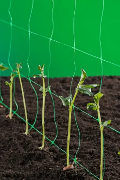Bind En Steun|Ecocheques|ohgreen Klim-groei-geleidenet 2x5m groen