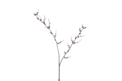 Sfeermakers|Herfst|ohgreen Kunstknop prunus