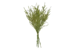 Sfeermakers|ohgreen Liguster