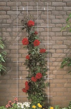 Bind En Steun|Ecocheques|ohgreen Metalen klimrek grijs