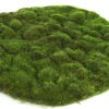 Sfeermakers|ohgreen Mosschijf marchantiophyta xl