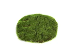 Sfeermakers|ohgreen Mosschijf marchantiophyta xs