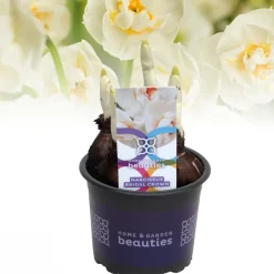 Voorjaar|Ecocheques|ohgreen Narcis bridal crown